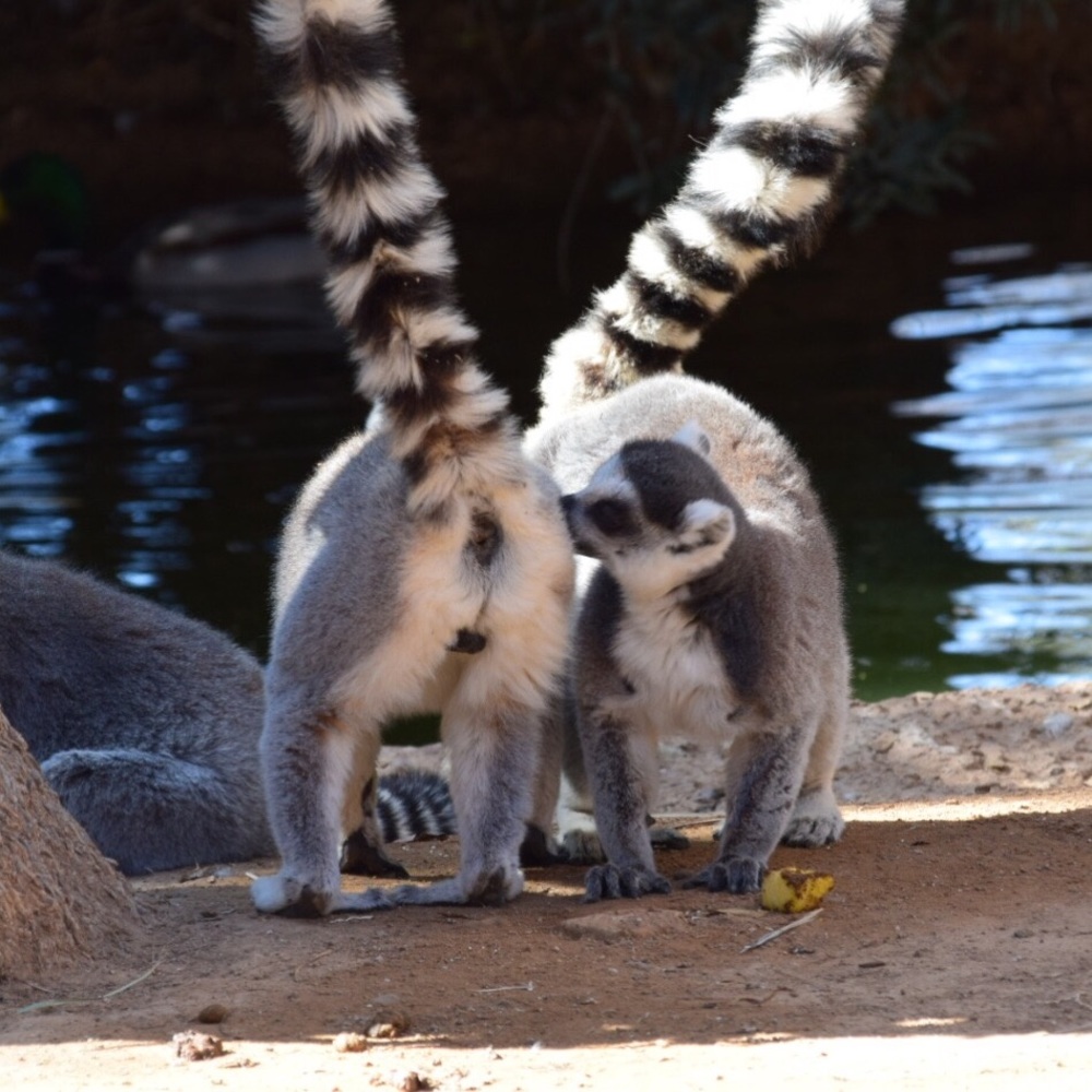 Meet your Posher, Melanie